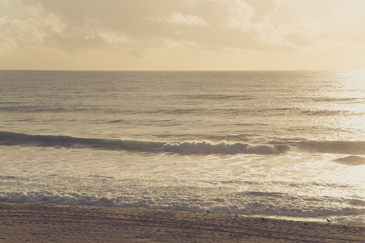 Waves rolling toward the Carlsbad coastline in warm evening light